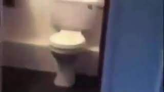 Exploding toilet meme [upl. by Monahon]