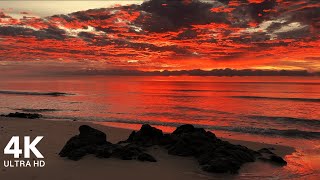 Perfect Sunrise at the Beach with Calming Sound of Waves  4K Ultra HD [upl. by Faith]