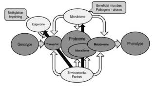 Introduction to Proteomics [upl. by Girand235]