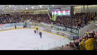 Eisarena Weisswasser  Top Stimmung nach Derbysieg gg Dresdener Eislolöwen 💙💛🏒🥳 [upl. by Dupre763]