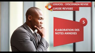 LIASSE FISCALE SYSCOHADA REVISE EXCEL DSF ÉLABORATION DES 36 NOTES ANNEXES [upl. by Chally]