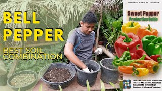 Best Soil Combination sa Pagtatanim ng Bell Pepper sa Container  Atsal Potting Mix  Easy [upl. by Esinnej]