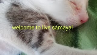 shorts food viral tipswelcom to live samayal [upl. by Zetnahs]