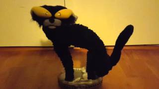 Fraidy Cat  Singing Halloween Cat [upl. by Hollah]