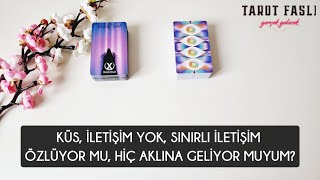 Küs iletişim yok sınırlı iletişim Özlüyor mu hiç aklına geliyor muyum Tarot tarot falı [upl. by Canute476]