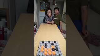 Egg Pong Game The Ultimate Ping Pong Challenge [upl. by Luckin]