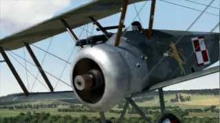 Rise of Flight  Film szkoleniowy  Podstawy [upl. by Aplihs]