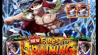 OPTC Aokiji 0 Stamina Training Forest  Double Whitebeard Without Damage Reducers [upl. by Kwabena]