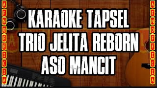 KARAOKE TAPSEL ASO MANCIT  TRIO JELITA REBORN [upl. by Yellhsa440]