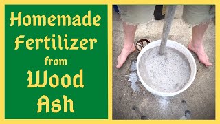 From The Ashes Comes Life Again  Homemade Fertilizer  Potassium  Calcium  Magnesium  Wood Ashes [upl. by Llevad673]