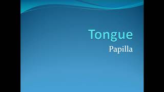 Lecture on Tongue Anatomy  Papillae Hindi [upl. by Gladis]