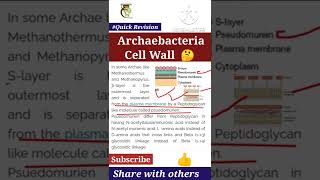 ArchaebacteriaCell WallBiological Classification  Class 11 Biology ✅Quick Revision NEET  MBBS [upl. by Aurie28]