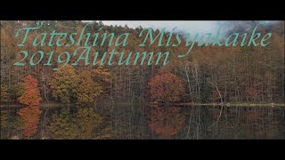 Misyakaike 2019 Autumn BMPCC4K  ZUIKO 12100mm f4 [upl. by Adnawad]