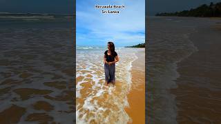 Part 16Travel Story Beruwala Beach Sri Lanka shorts travel summer viralshorts occidental [upl. by Antebi]