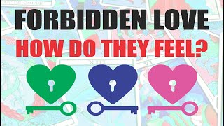 ⛔⚠️ FORBIDDEN LOVE HOW ARE THEY FEELING 🦄 Pick a Card [upl. by Magan]