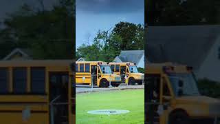 Michigan Thomas School Bus Dealer  Lots of Lots [upl. by Barncard635]