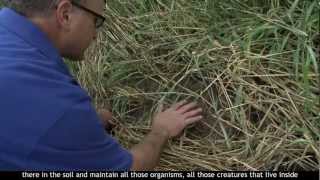 Harvesting Rain on a Dryland Farm [upl. by Deck]