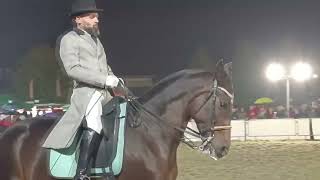 Gran Gala equestre Bagnolo Piemonte 9° esibizione Alessandro [upl. by Nannoc]