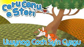 Caru Canu a Stori  Llwynog Coch Syn Cysgu Welsh Childrens Song amp Story [upl. by Osnola]