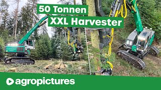 Holzernte XXL – Größter Harvester der Welt  IMPEX Hannibal T50 bei Vieghofer Holz  Forst Doku [upl. by Garin]