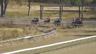 Gayndah 20240608 Race 2 [upl. by Ainirtak583]