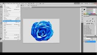 How To Save Picture As Transparent Without White Background [upl. by Franciska]