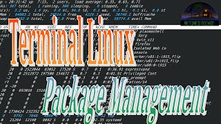 Terminal Linux Software Package Managment [upl. by Nial]