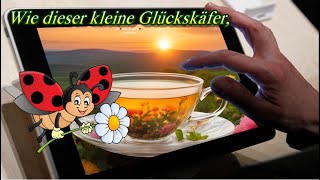 Ein Glückskäfer bringt meine besten Wünsche und herzlichen Grüße zu dir 🍀 [upl. by Ditter931]