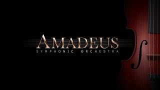 Amadeus Symphonic Orchestra Overview [upl. by Germano]