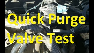 How To Test Evap Purge Valve is Good or Bad No Tools Needed [upl. by Nigrom]