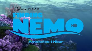 Finding Nemo  Calm Continuous Mix [upl. by Shandie871]