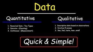 Qualitative and Quantitative [upl. by Witcher]