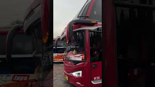 GOYANGAN NYA DI IRINGI SUARA REM ANGIN shotsviral pomtrans double Decker bismania [upl. by Euqirne526]