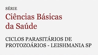 Serie Ciencias Basicas da Saude  Ciclos parasitários de protozoários Leishmania sp [upl. by Darwen]