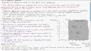 Microeconomics  89 Production Subsidies and Quotas [upl. by Daegal]