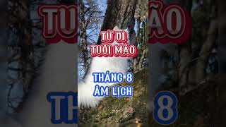 Tử vi tuổi Mão tháng 8 âm lịch [upl. by Gravante]