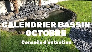 CALENDRIER BASSIN  OCTOBRE  CONSEILS D’ENTRETIEN calendrier bassin entretien fish [upl. by Heaps]