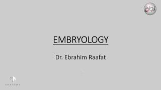 Embryology Fertilization 1st week of pregnancy [upl. by Olnay]