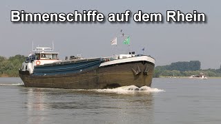 Binnenschiffe auf dem Rhein  Bislicher Insel  Binnenschifffahrt [upl. by Wera844]