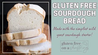 Gluten Free Sourdough Bread Recipe [upl. by Eusoj503]