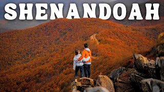 BEST FALL PLACES TO VISIT in Shenandoah National Park  Fall Foliage Road Trip Ep 3 [upl. by Gnik]