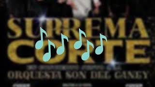 Salsa con Letra  Quiero Quedarme en Ti  La Suprema Corte By Fenixlamp [upl. by Joslyn679]