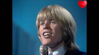 Peter Noone Chapel Of Love [upl. by Alcott]