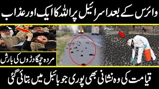 rain of birds taking place in Israel in urdu hindi  urdu cover documentaries [upl. by Howund280]