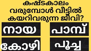 കഷ്ടകാലം വരുമ്പോൾ വീട്ടിൽ കയറിവരുന്ന ജീവിGk malayalamquiz questionsampanswersastrology [upl. by Laurice]