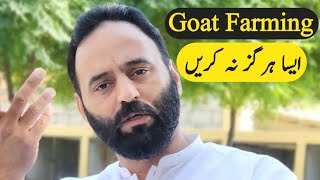 Essential lesson of Goat Farming  Chaudhary Majid Shabbir  Chakwal Goat Farm [upl. by Sosanna762]