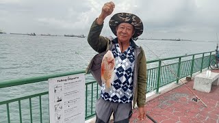 Bedok Jetty Parrot Fish Landed [upl. by Westlund]