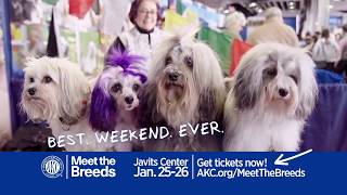 2020 AKC Meet the Breeds [upl. by Anohr]