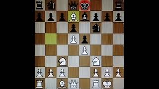 Stafford Gambit chess chesss chessstrategy [upl. by Lahcym]