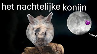 Het nachtelijk konijn 3 trailer [upl. by Baer905]